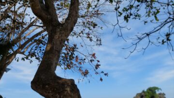 Paket Wisata Pantai Malang 1 Hari