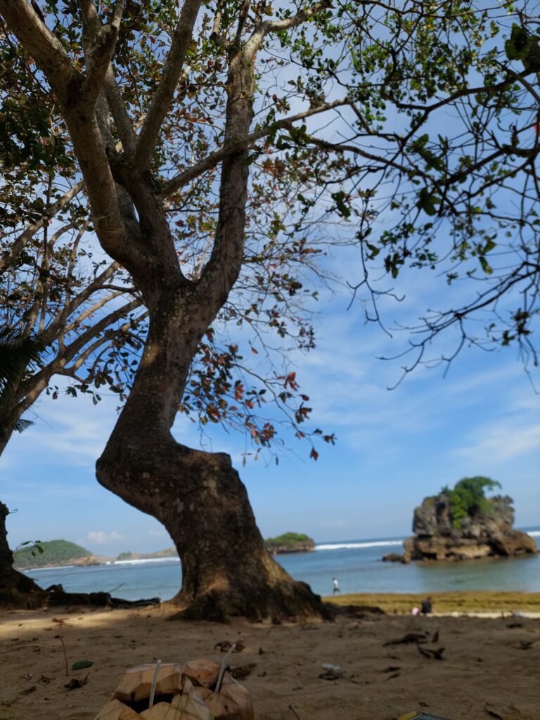 Paket Wisata Pantai Malang 1 Hari